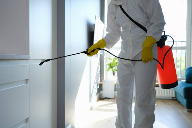 Best Mold Damage Restoration  in Yeadon, PA