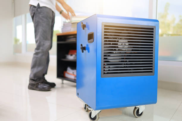 Environmental Consulting for Mold Prevention in Yeadon, PA