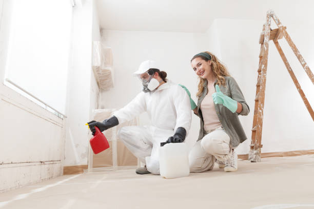 Best Black Mold Removal  in Yeadon, PA